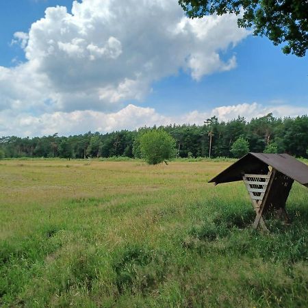 Gezellig Huisje In Groot Natuurgebied Met HottubLille エクステリア 写真