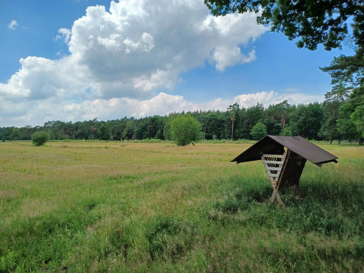 Gezellig Huisje In Groot Natuurgebied Met HottubLille エクステリア 写真